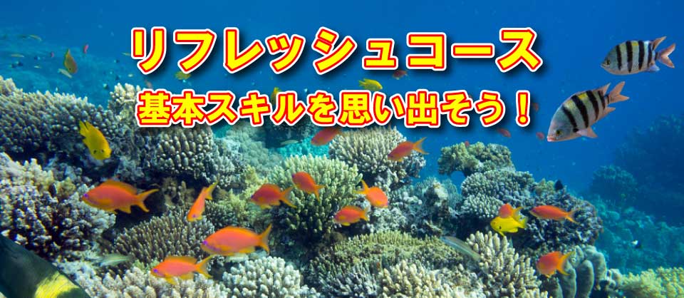 火木土催行クルーザー利用タオ島2ダイブ