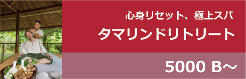 スパ・タマリンドスプリングス