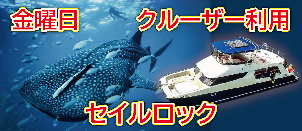 火木土催行クルーザー利用タオ島2ダイブ