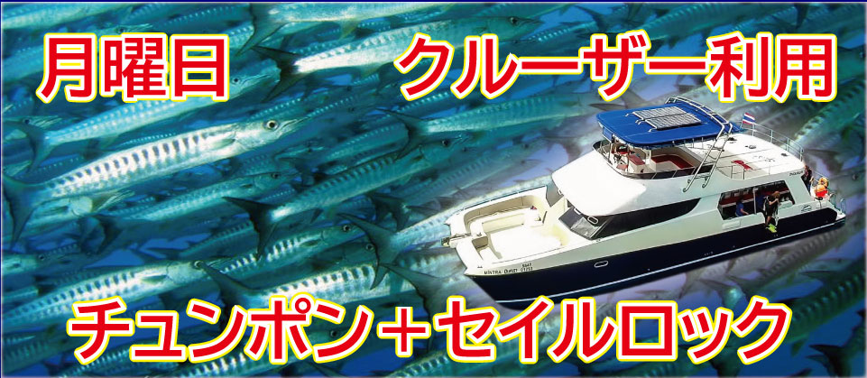 月曜日催行クルーザー利用チュンポンピナクルとセイルロック2ダイブ